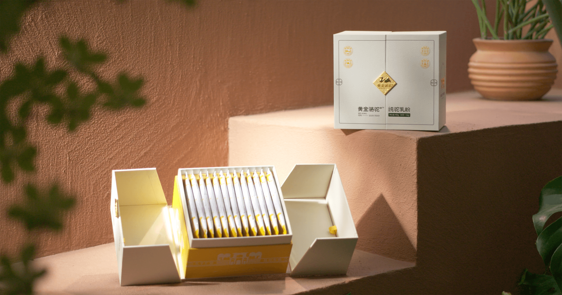 定位小众高端乳粉，jinnianhui今年会推出驼奶品牌“黄金骆驼+”，角逐乳品新市场！